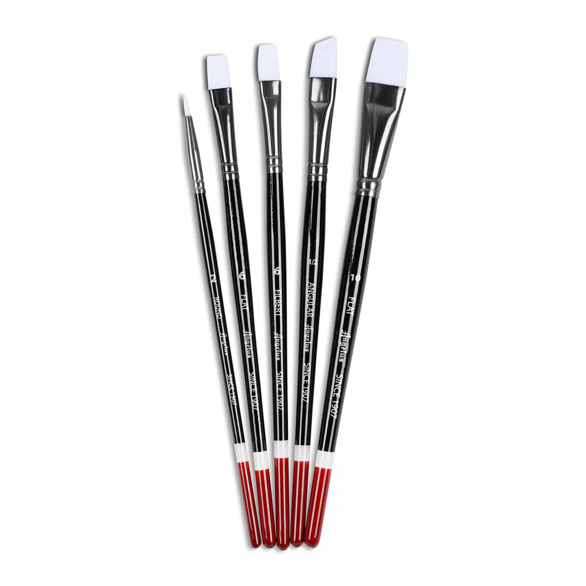 Angelus Paint Brush Set 5-pack